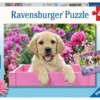 Harige Vriendjes – Puzzelbox Ravensburger 2 X 24 Stukjes