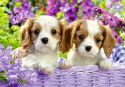 Harige Vriendjes – Puzzelbox Ravensburger 2 X 24 Stukjes -Bekend Speelgoeds Winkel harige vriendjes puzzelbox ravensburger 2