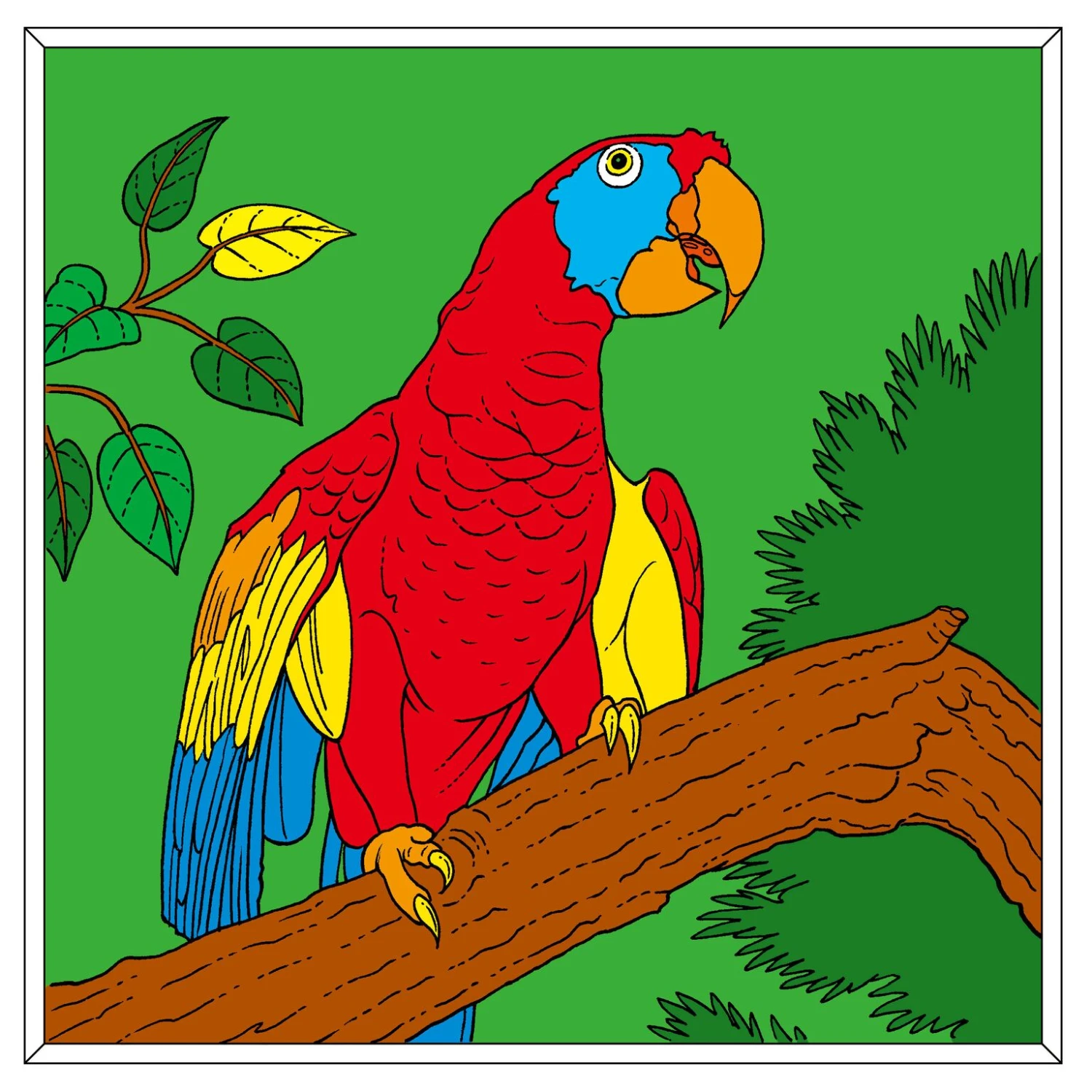 Kleurboek Colouring Book 5 Kleurboek Colouring Book - Afbeelding 5