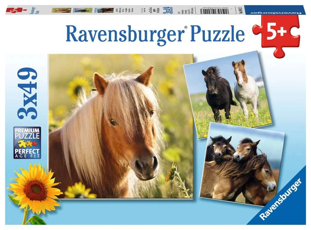Schattige Pony’s Puzzelbox Ravensburger 3 X 49 Stukjes 1 Schattige Pony’s Puzzelbox Ravensburger 3 X 49 Stukjes